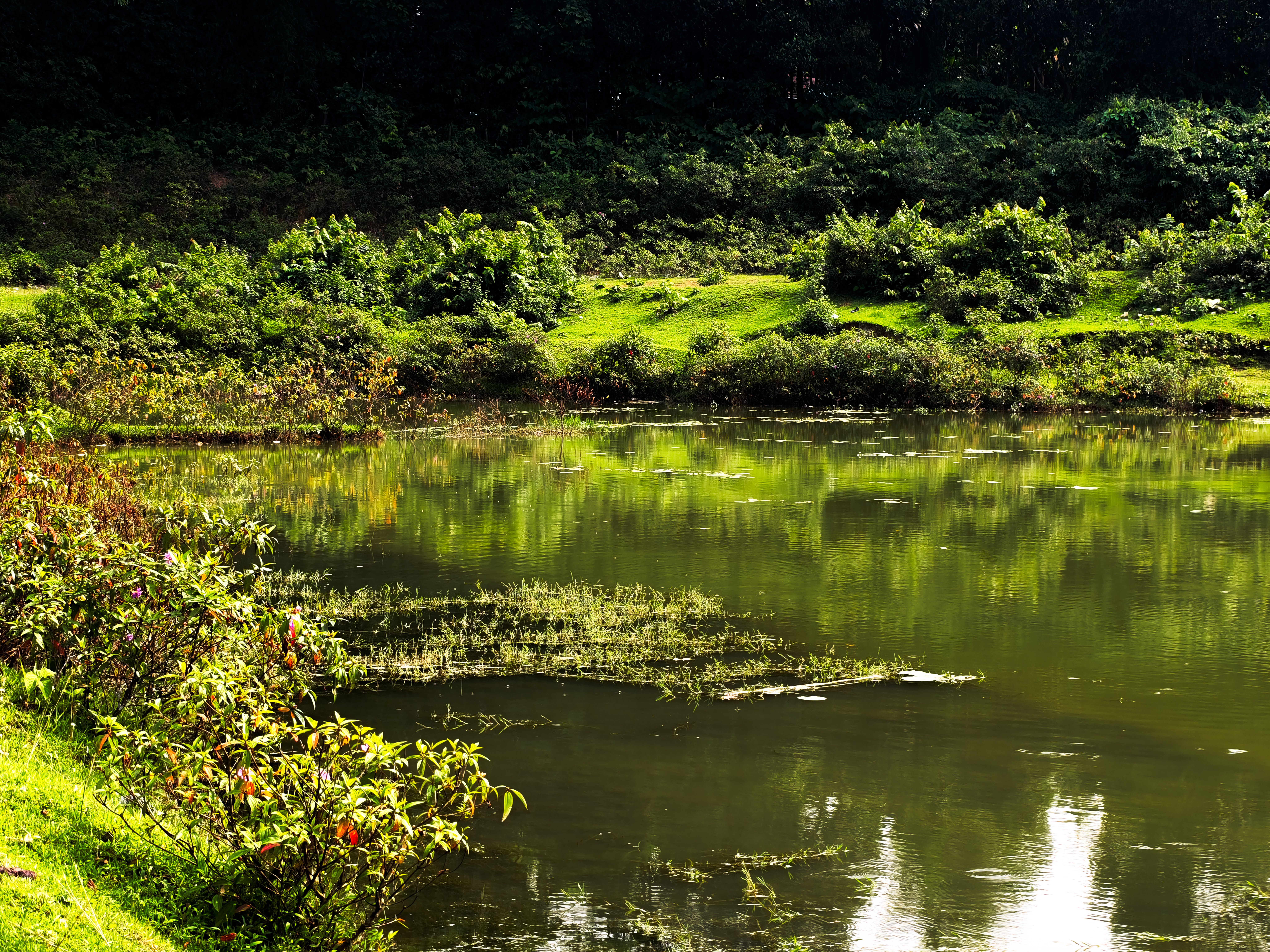 Silchar