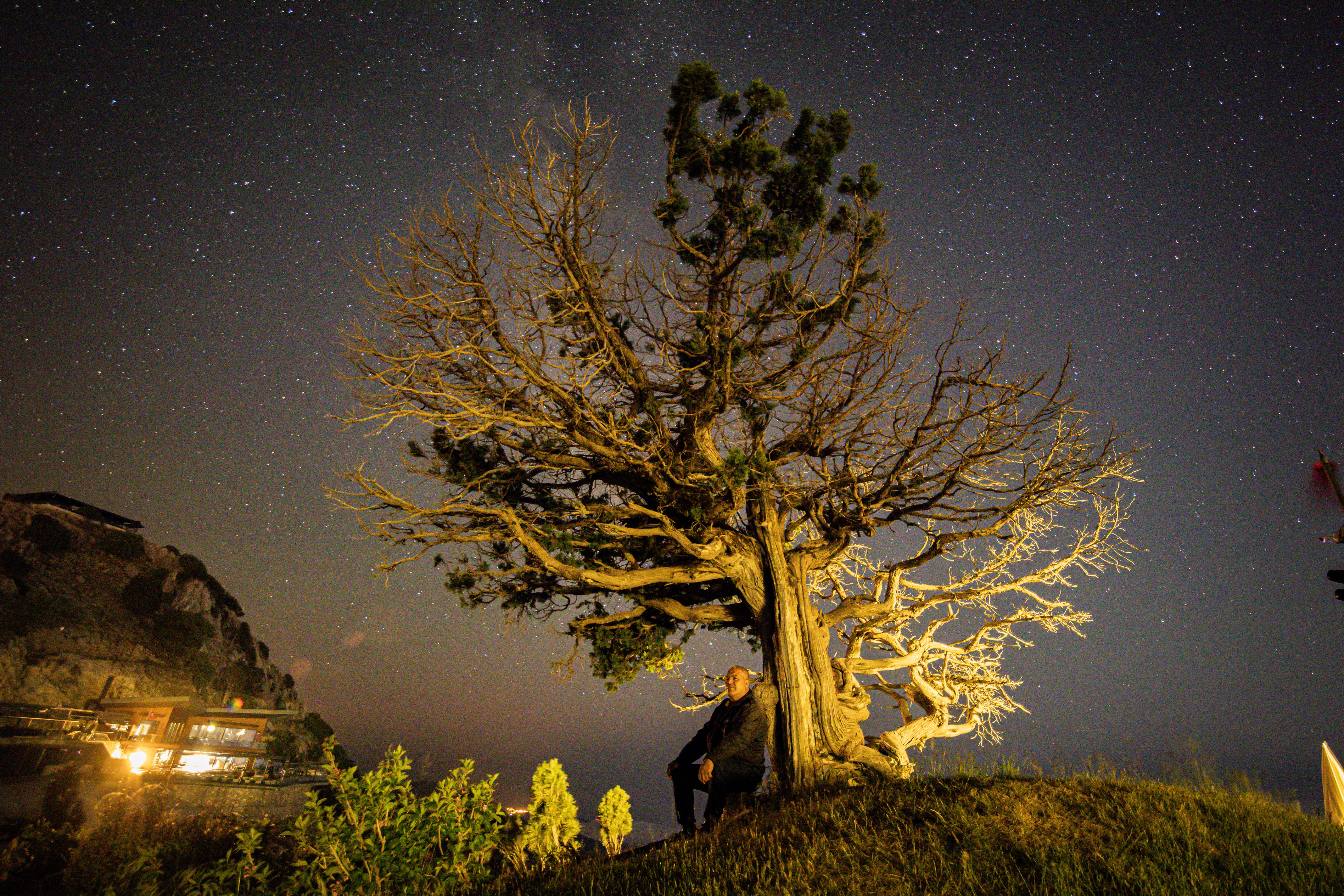 A person standing alone under moonlight, symbolizing the loneliness of Gu Chen and Gua Su
