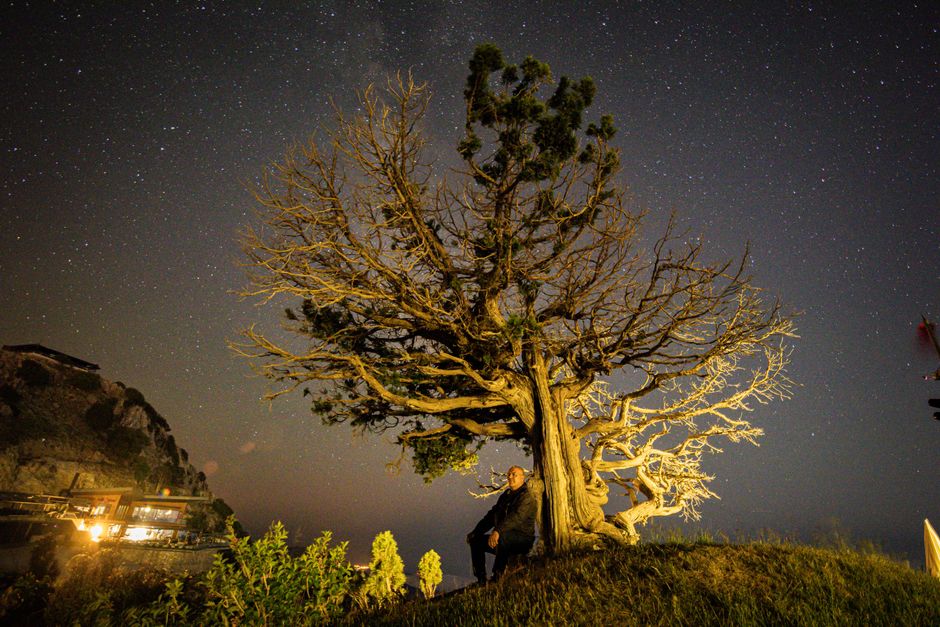 A person standing alone under moonlight, symbolizing the loneliness of Gu Chen and Gua Su