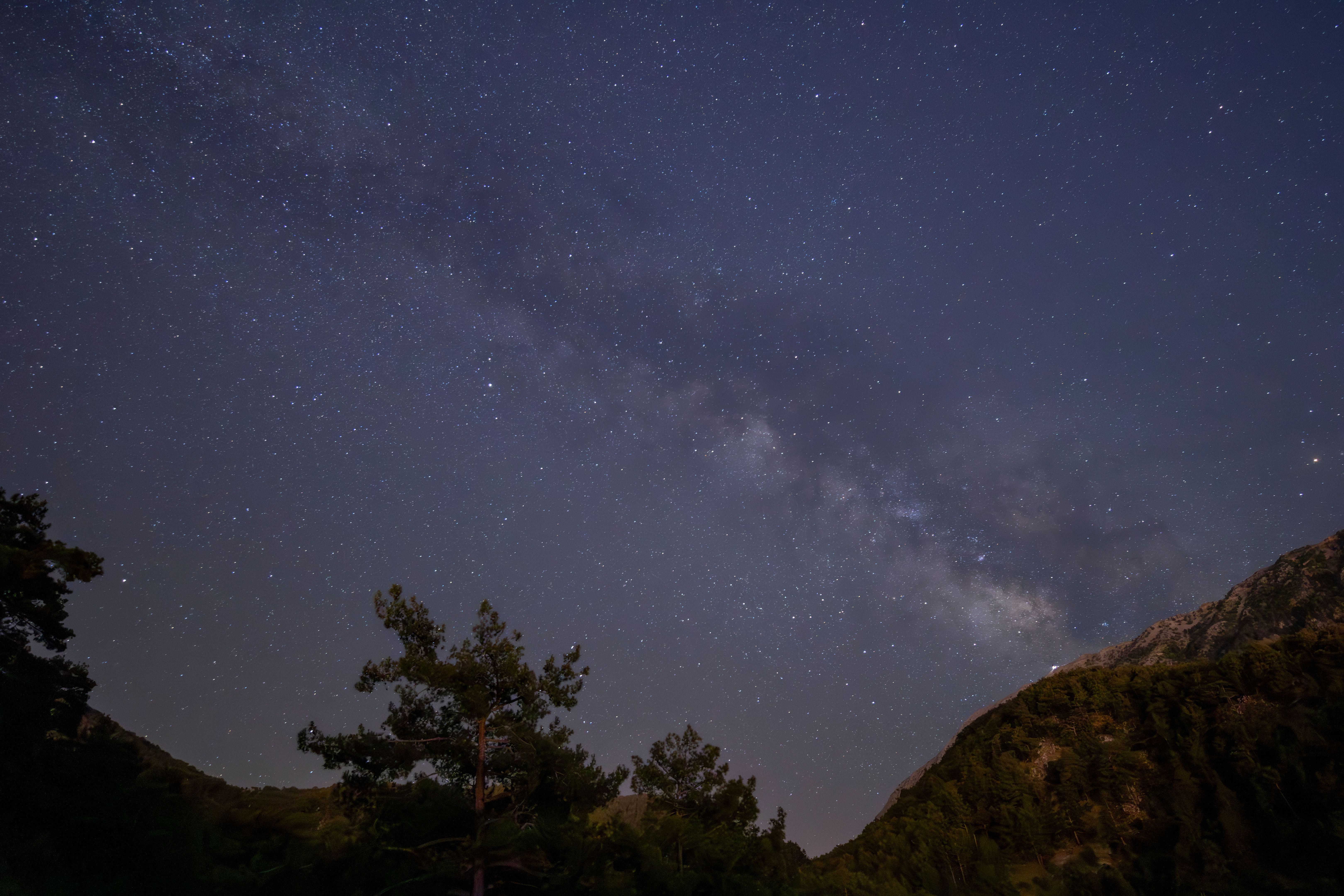 A stunning view of the Milky Way galaxy visible above darkened mountain landscape and trees.