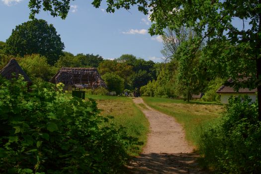 A serene rural path leading to thatched-roof houses surrounded by lush trees and greenery.