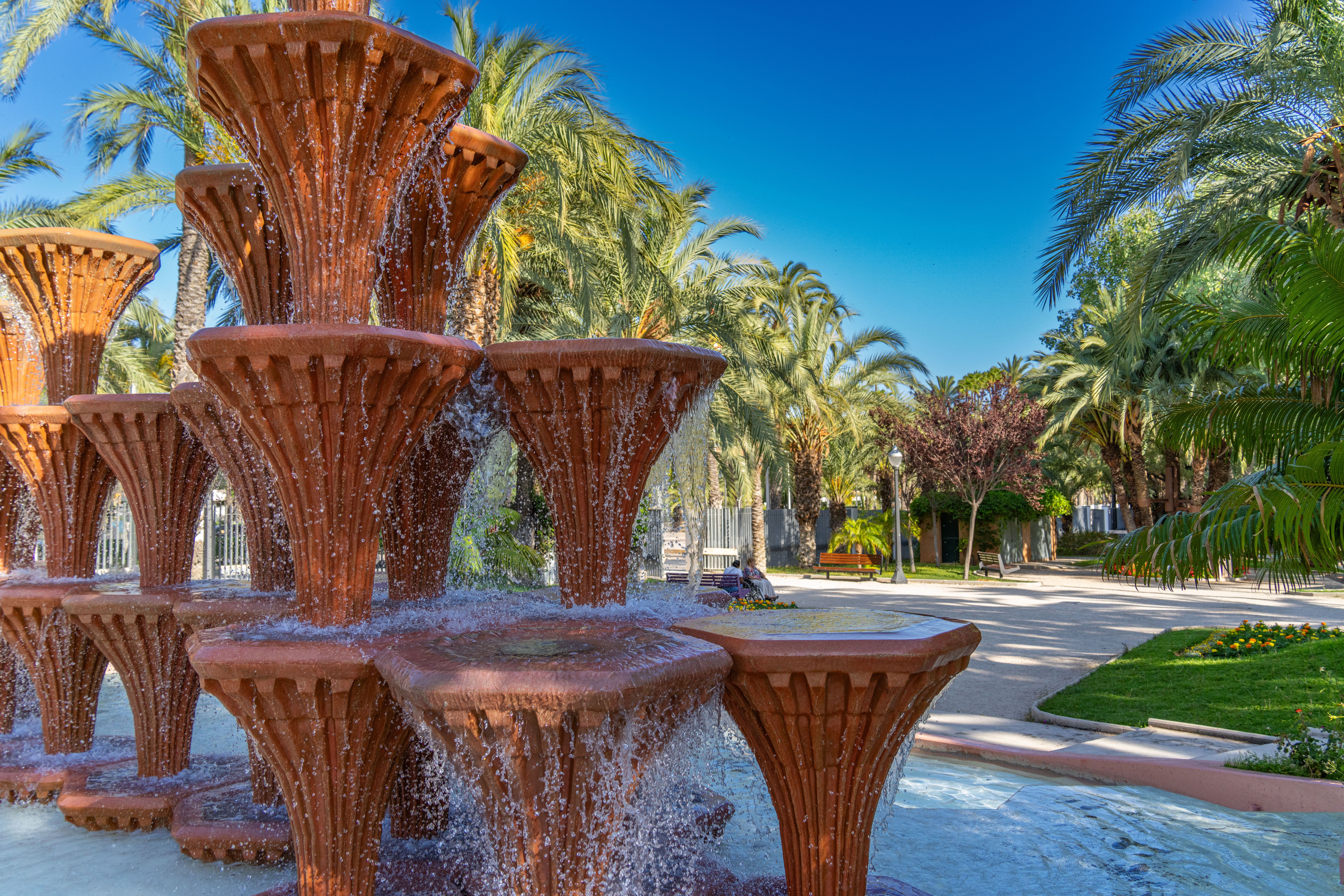Museo del Palmeral i szlak palmowy