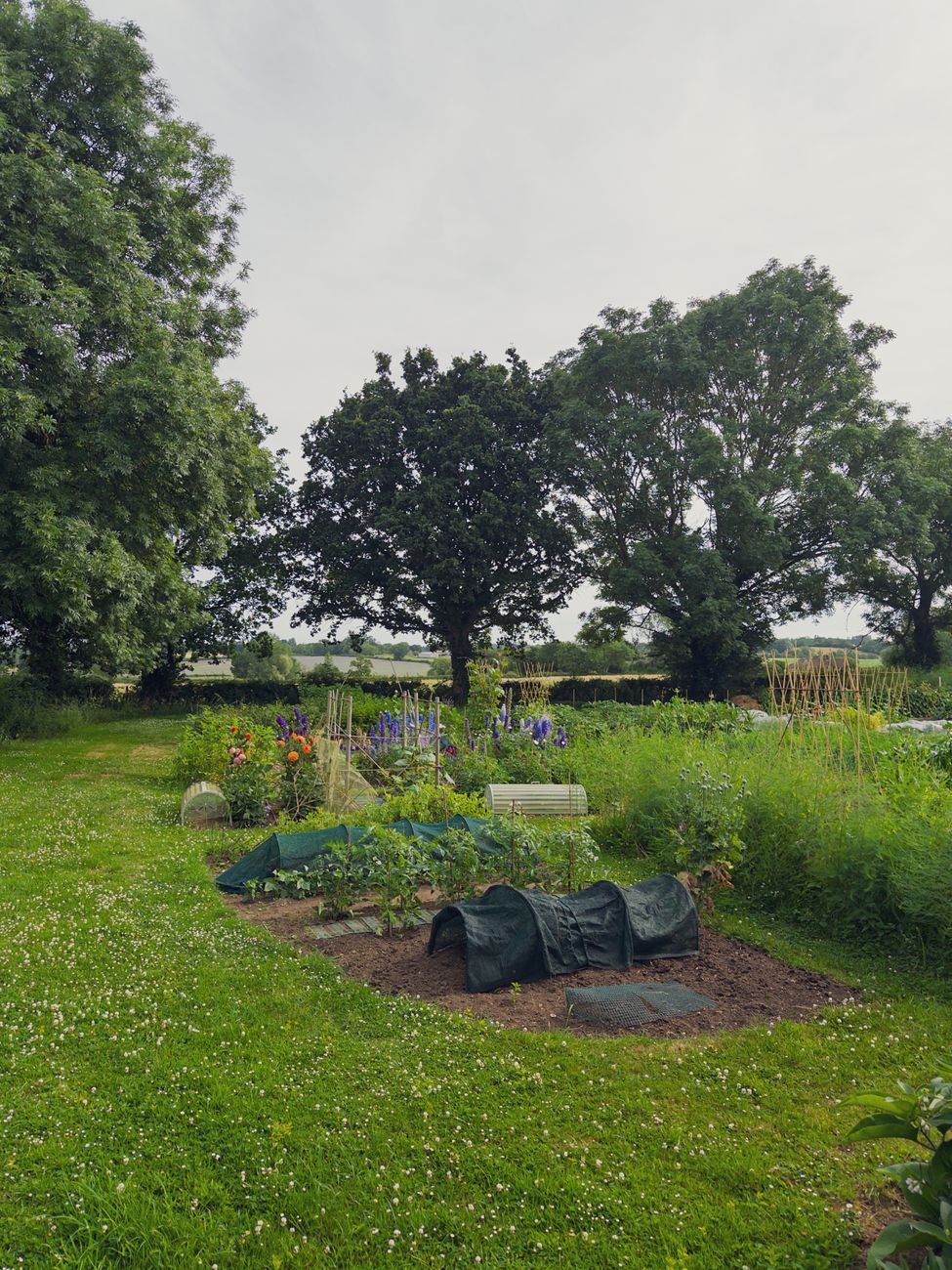 broadfork decompaction UK garden