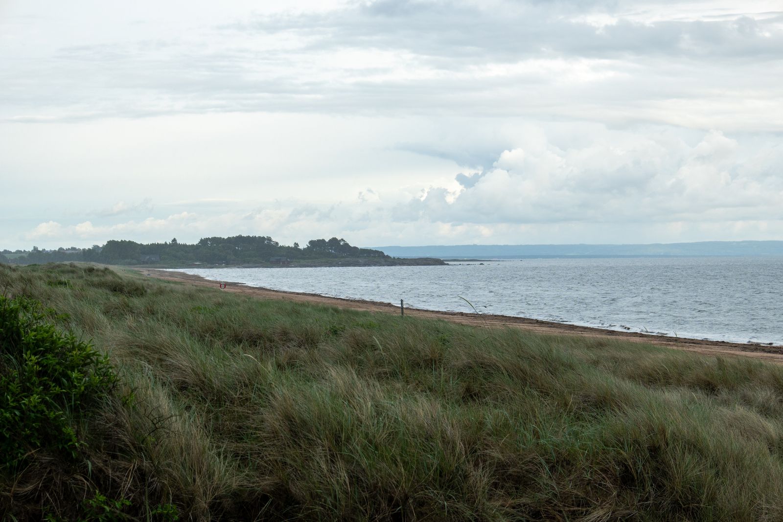 Tylösand is het strand waar half Zweden heen gaat