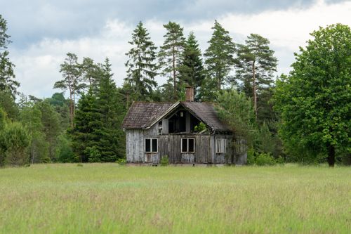 Free An isolated wooden house stands weathered in a lush, rainy forest clearing. Stock Photo