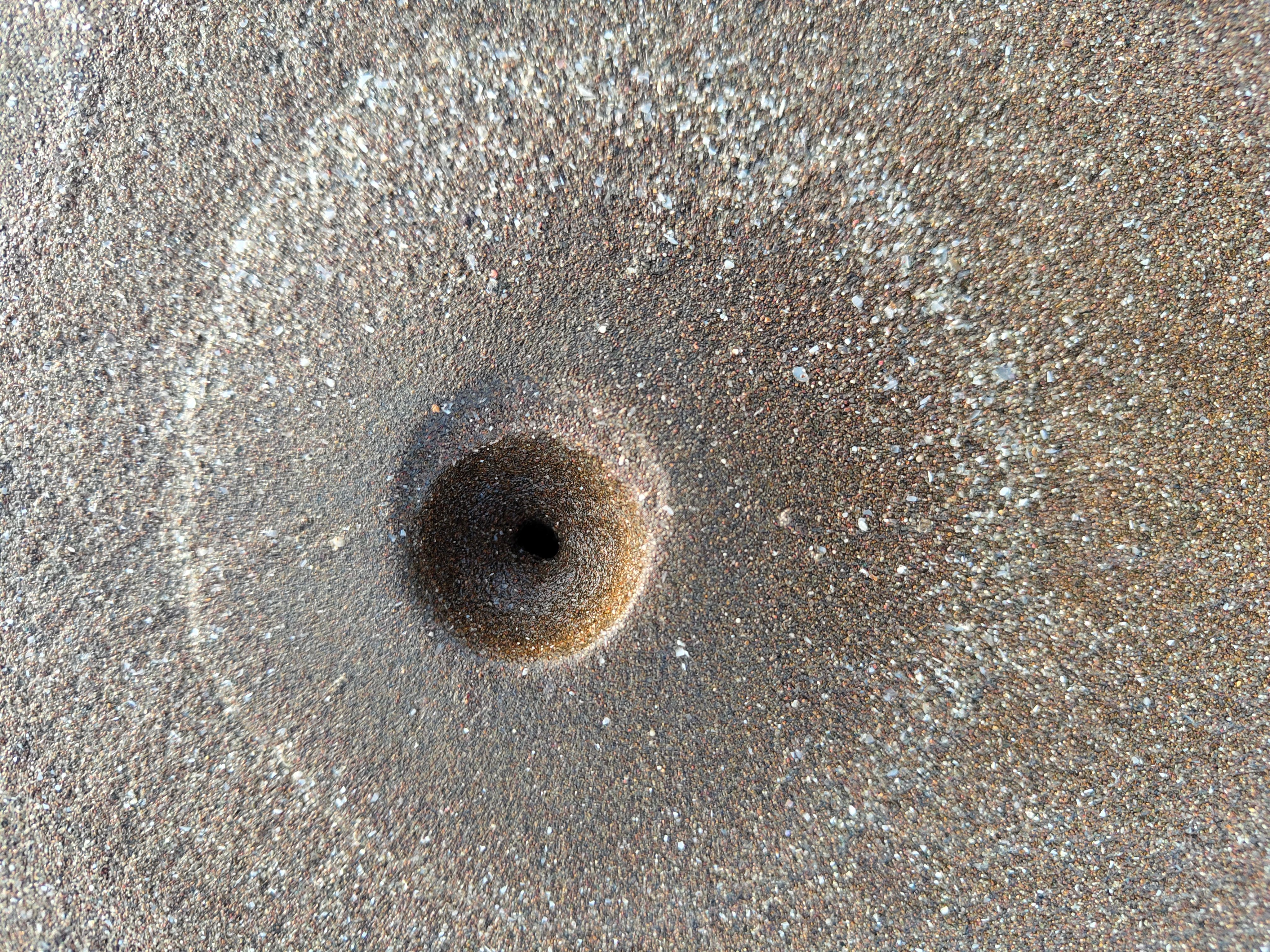 Sun's surface reveals swirling vortex patterns in new images