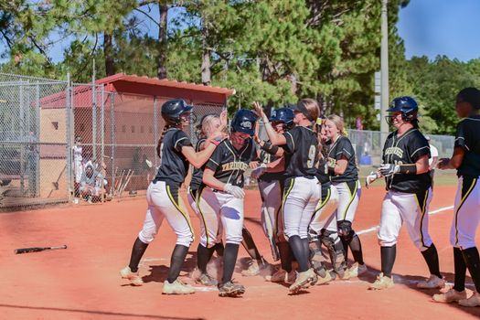 Ottawa West Twins Complete Stunning Comeback to Win Ontario Title
