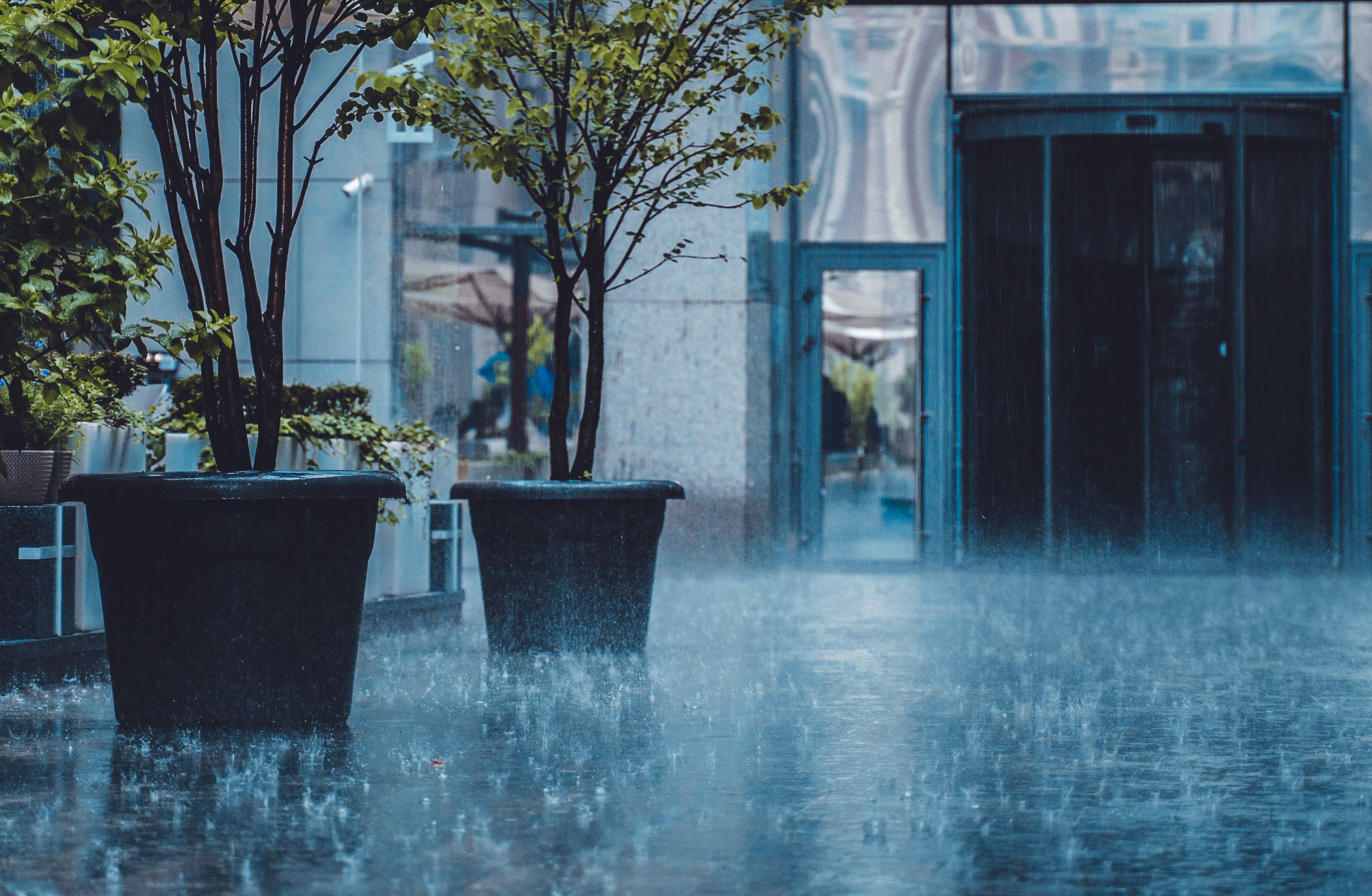 Best Time to Harvest Rainwater: Tips Using Smart Water Box for Your Home