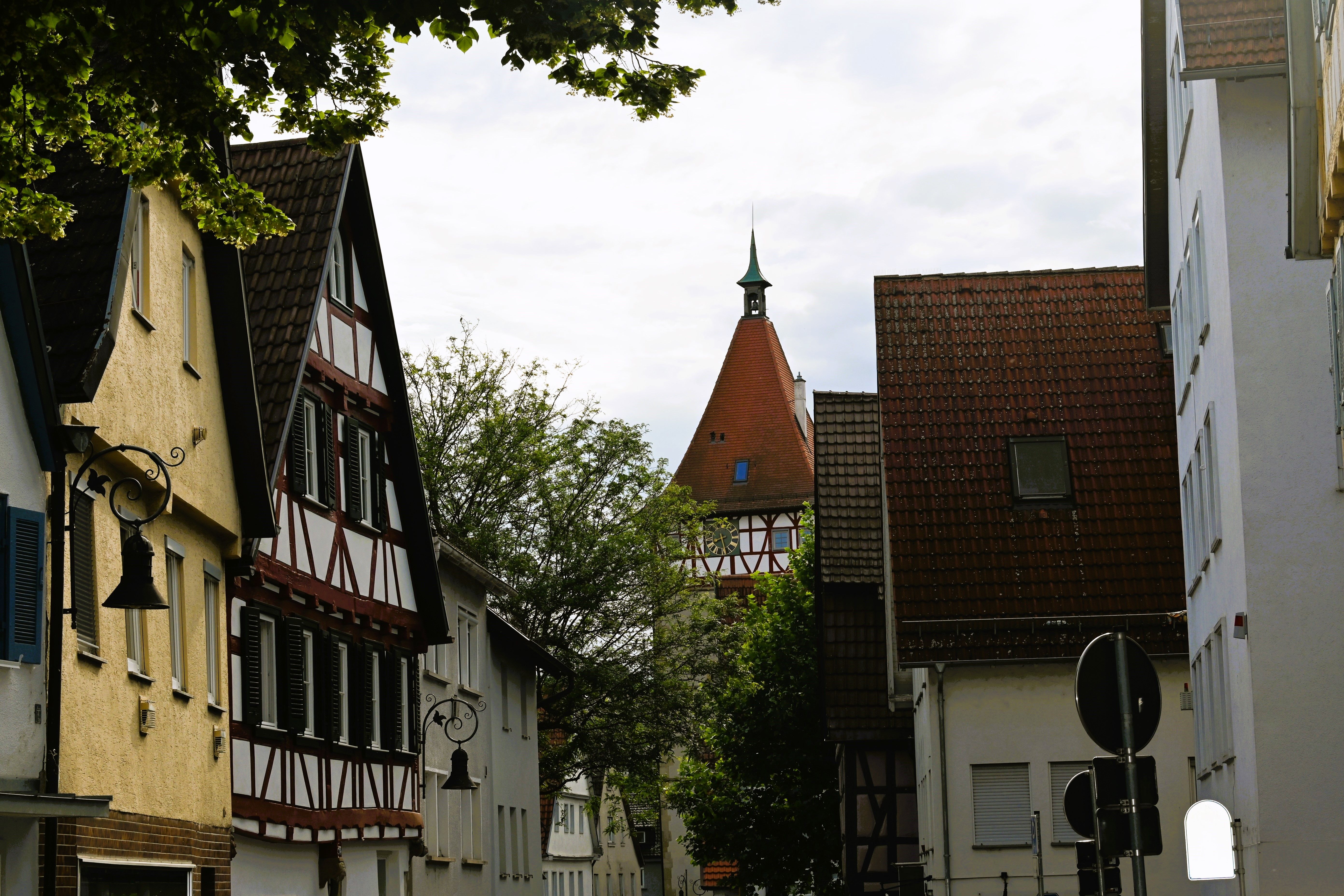 Reitdorf
