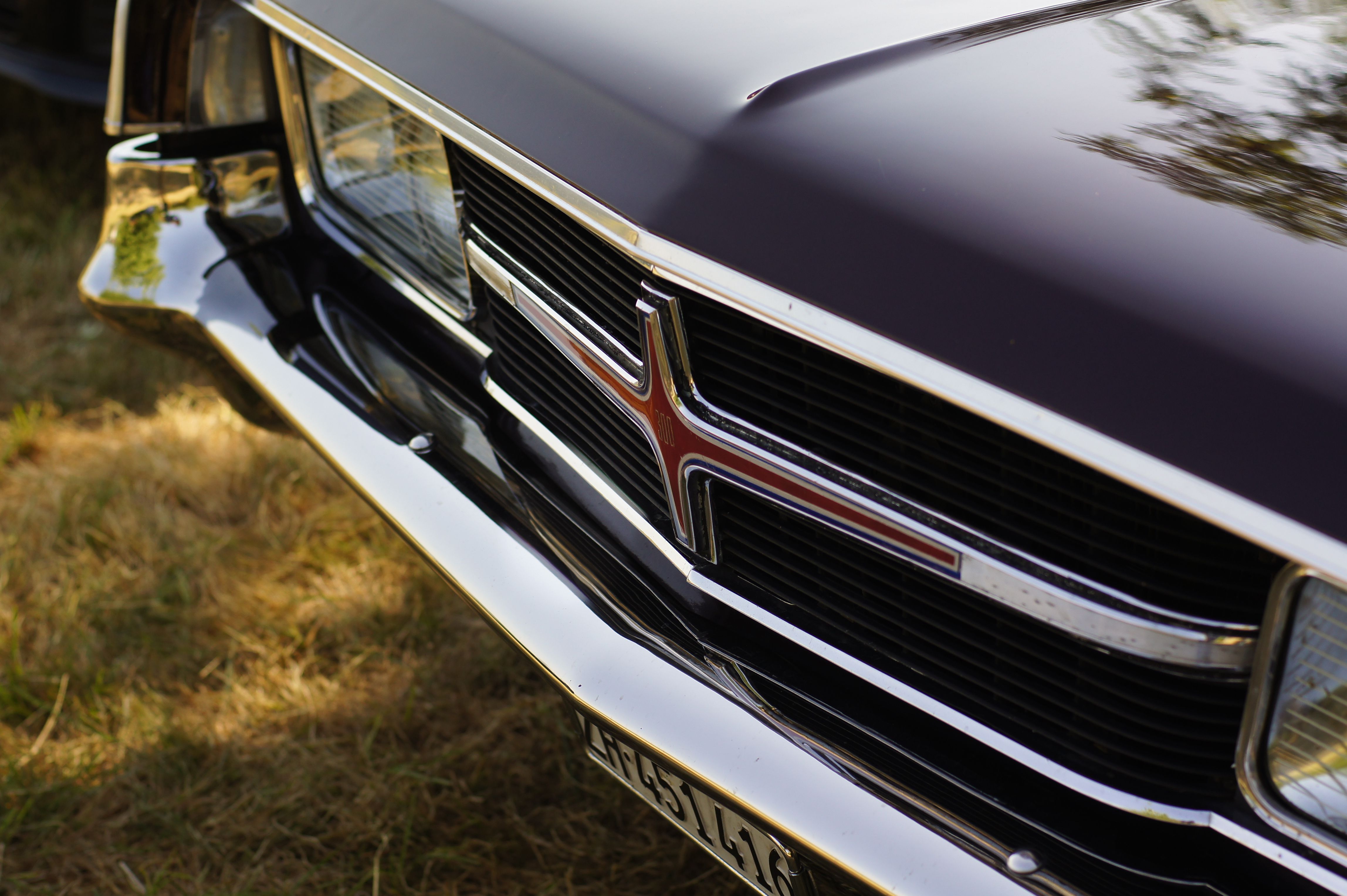 Foto: Flibidi Randon / Pexels