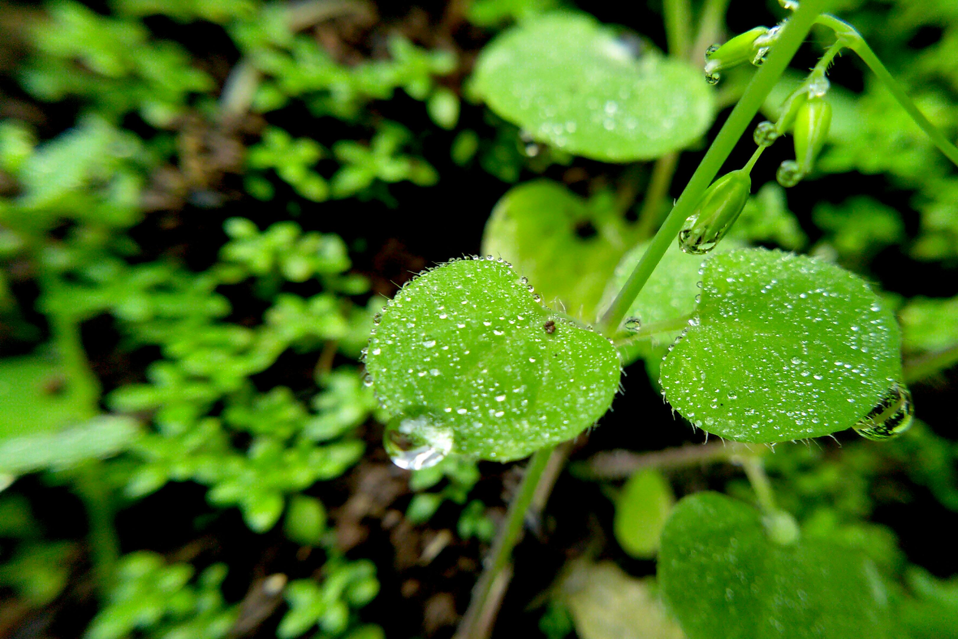 Woman writing in a journal while sitting on a bench outdoors