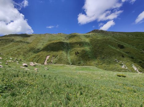 Beautiful mountain landscape with lush greenery under a clear blue sky in Almaty, Kazakhstan.