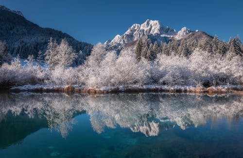 Free Mountains and Tress Covered With Snow Beside Water Stock Photo