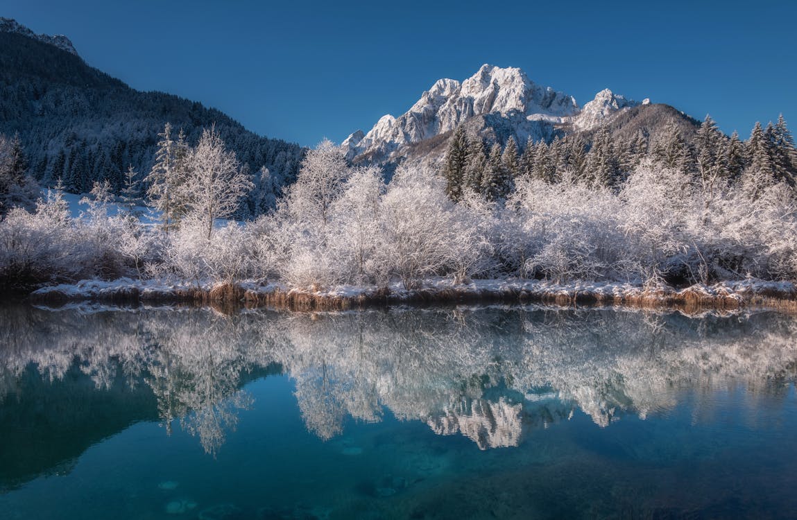Mountains and Tress Covered With Snow Beside Water