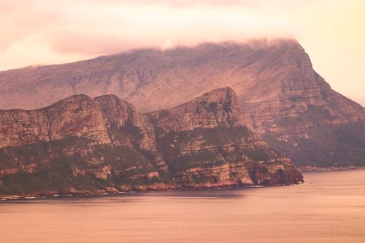 Cape Point and Boulders penguins — Cape Town