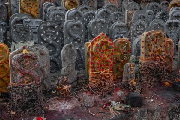 Kamakhya Temple Visit