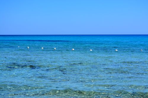 Free Crystal clear blue ocean water with white buoys under a bright sunny sky, offering a tranquil seascape. Stock Photo
