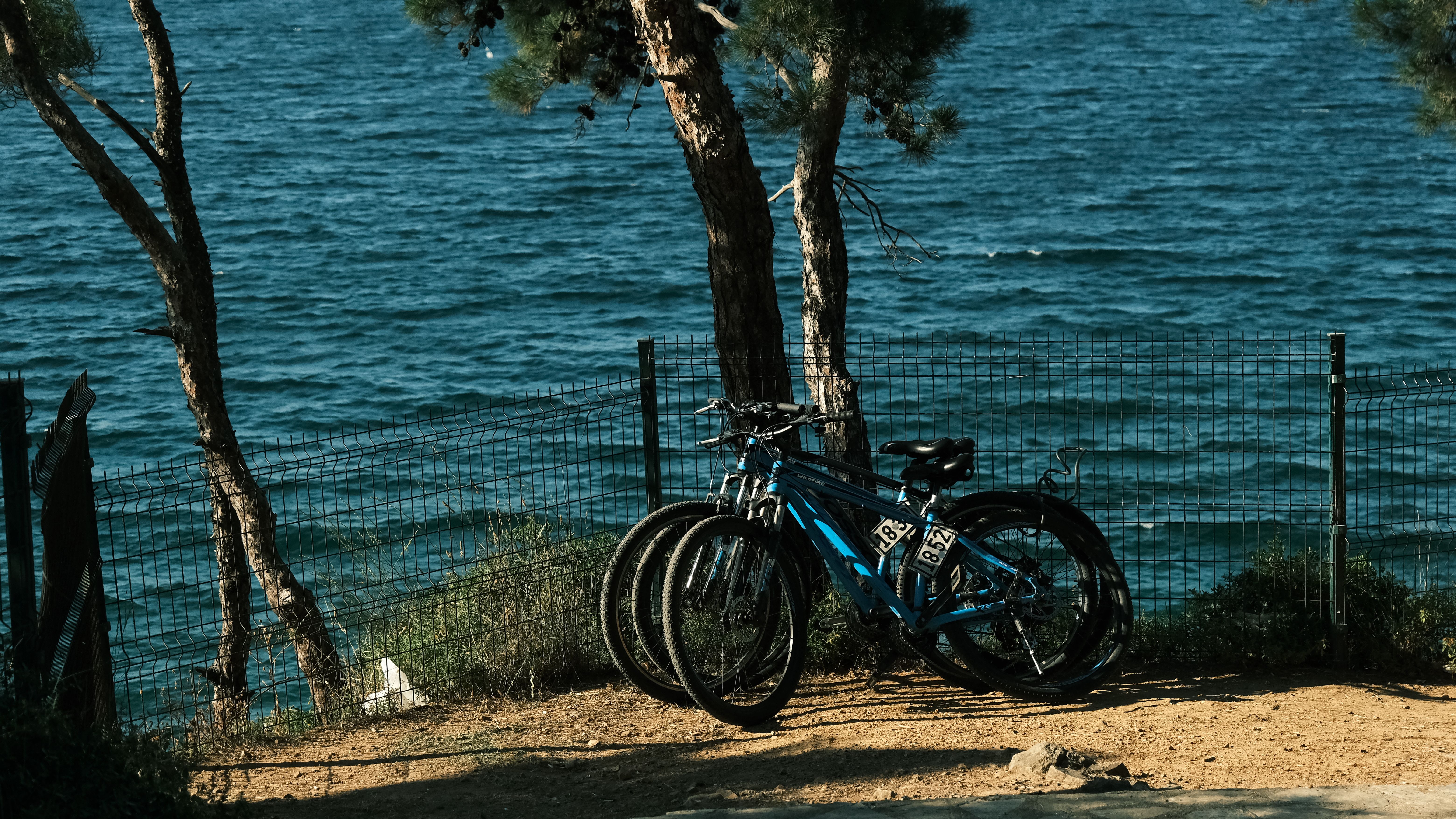 things to do in santa rosa beach