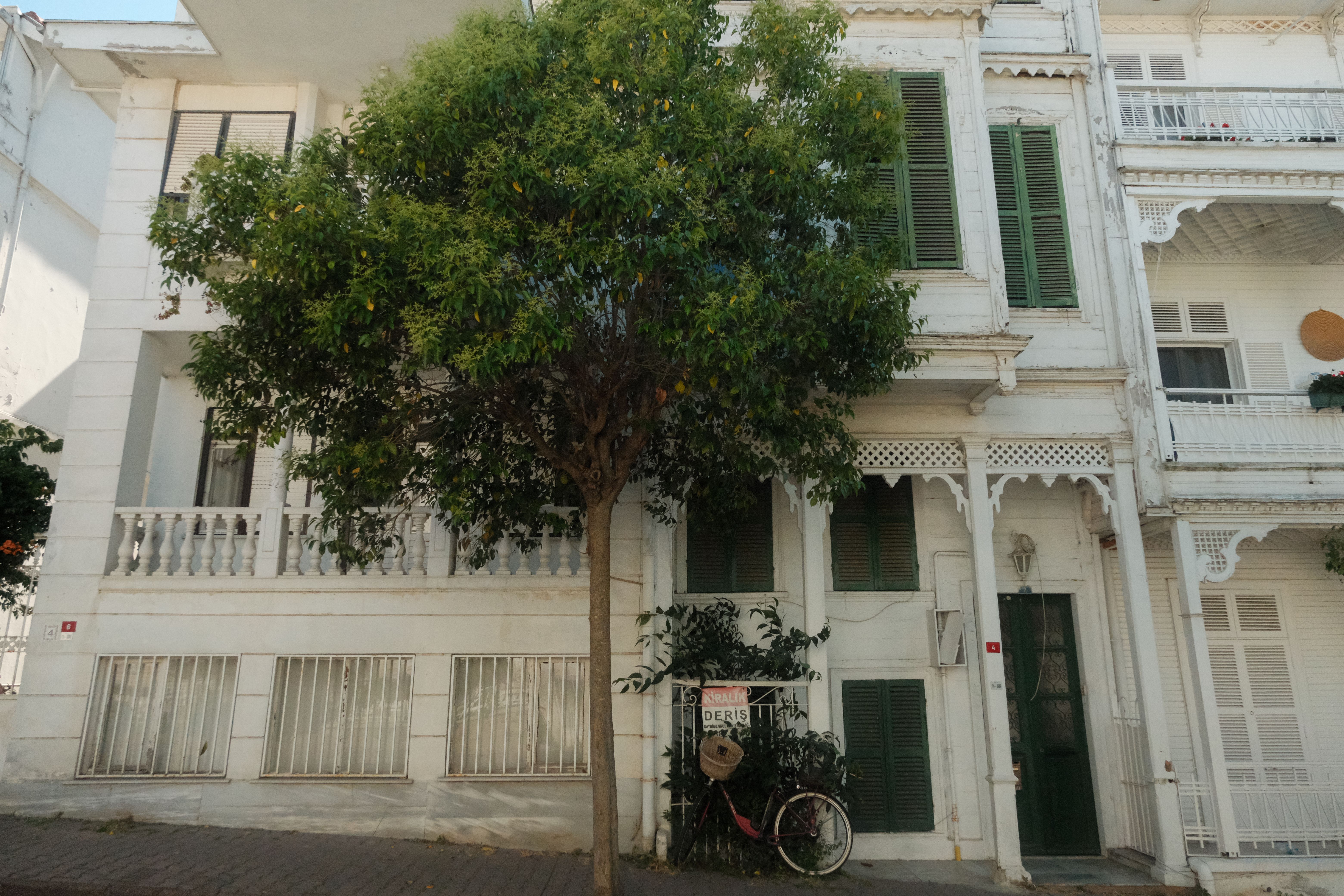 Exterior Painting in Bickley — surfaces prepped and cut in by hand