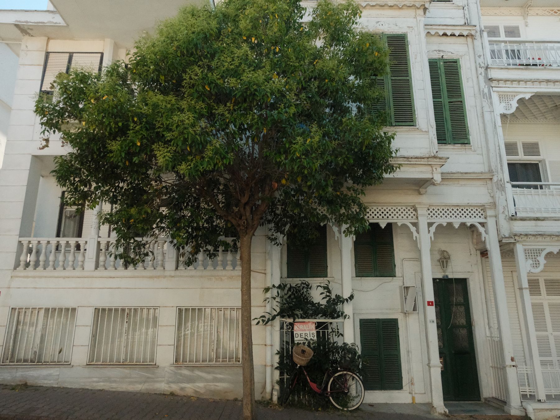 Exterior Painting in Bickley — surfaces prepped and cut in by hand