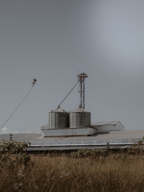 Free A serene view of industrial silos surrounded by nature under a clear sky. Stock Photo