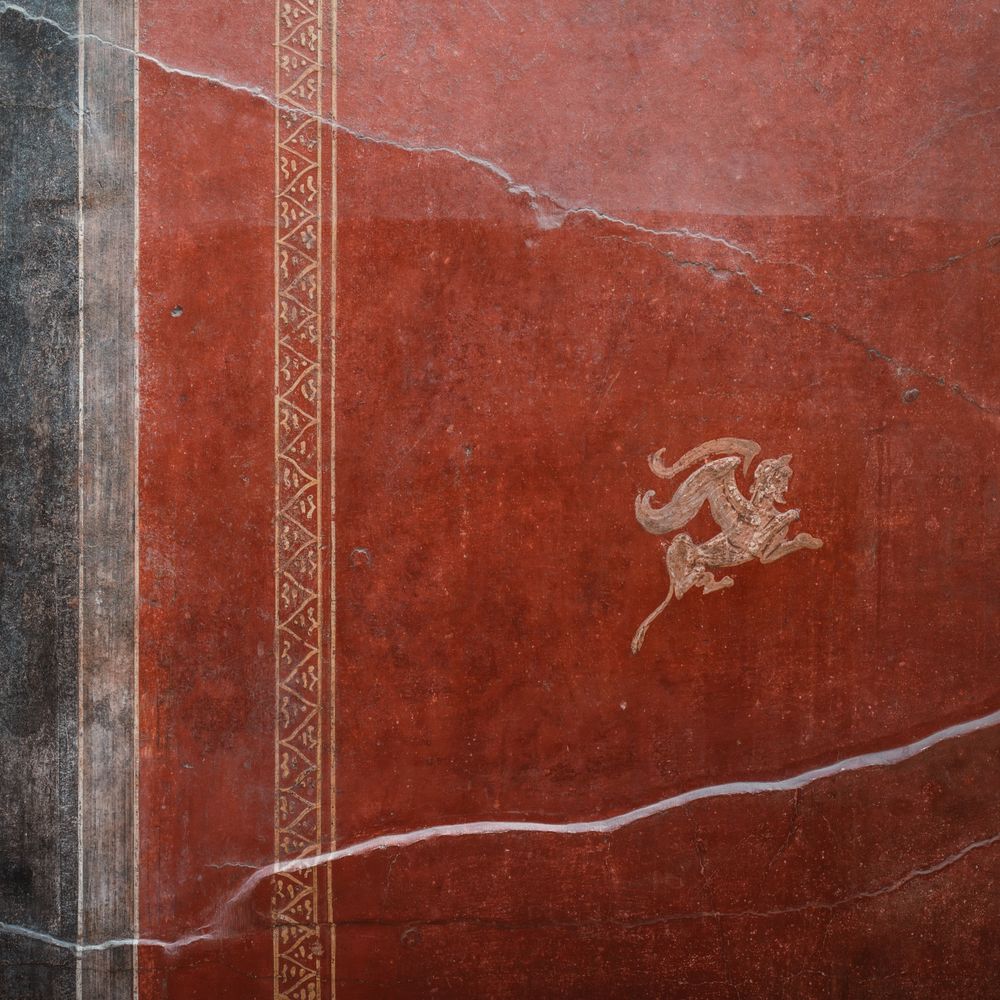 Wallpapering in St Johns — quality trade paint going on in two coats