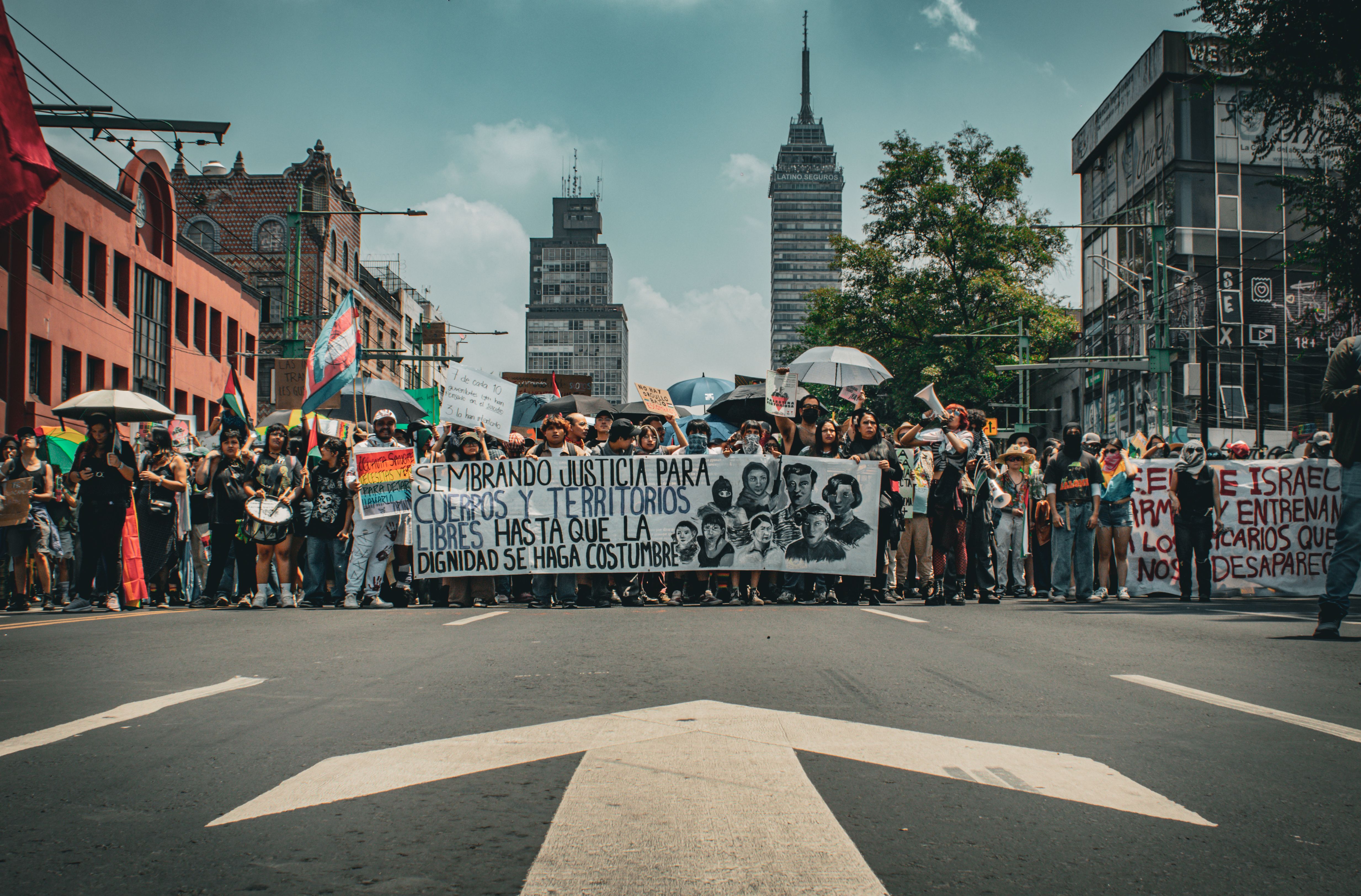 Grassroots Mobilization Trends for 2026 Election Cycle — Photo by Rapty on Pexels