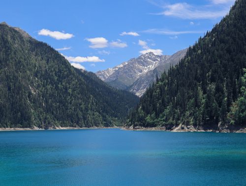 Free A serene view of a mountain lake surrounded by dense forests under a clear blue sky. Stock Photo