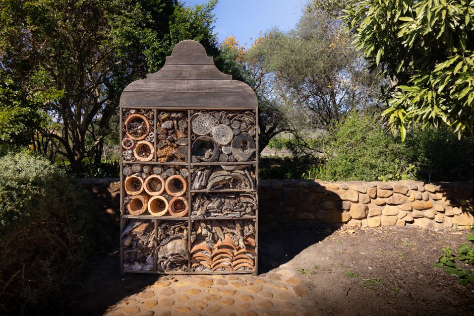 A wooden insect hotel in a garden setting, surrounded by lush greenery, under a bright day.
