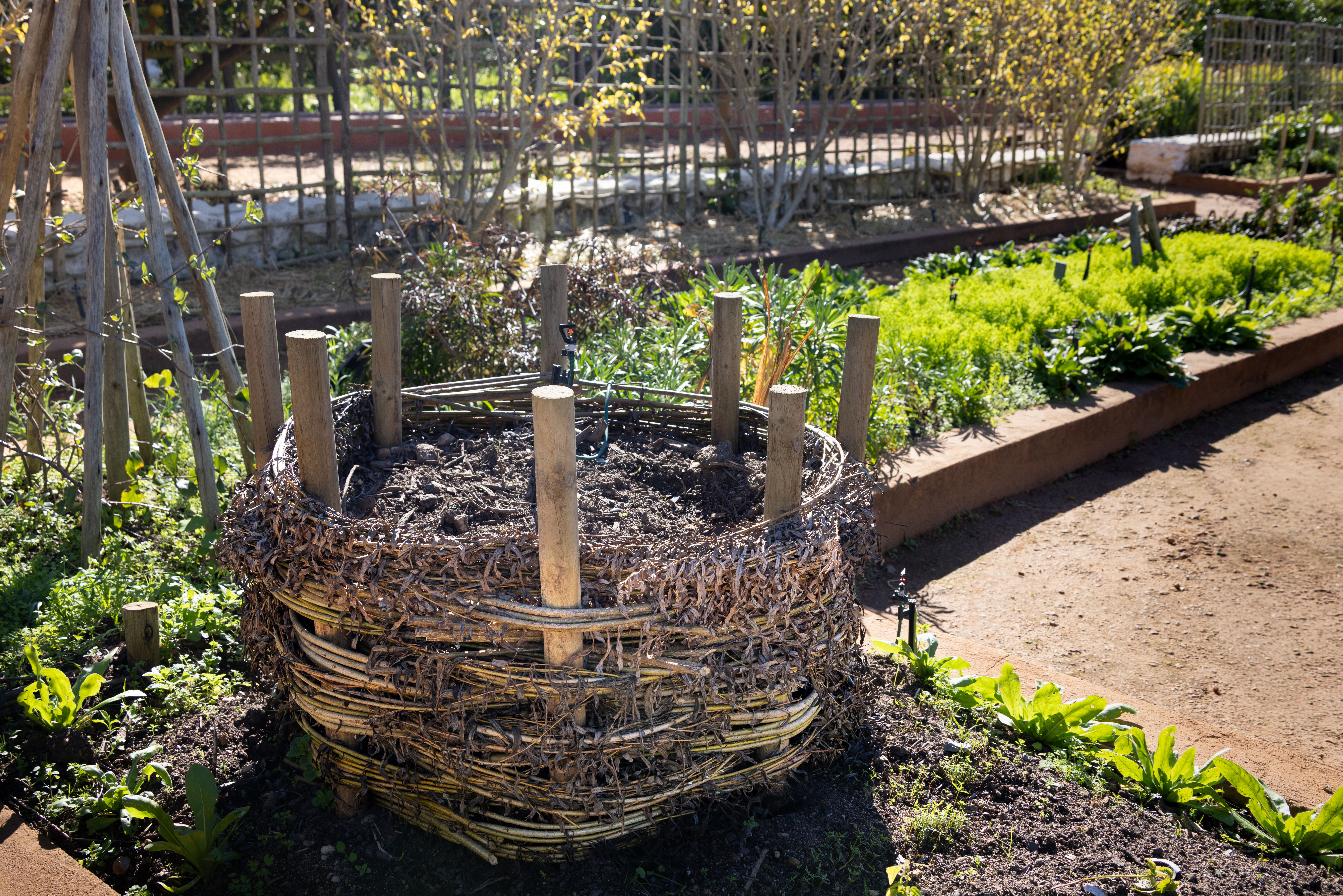 Composteira de jardim, representando o ciclo orgânico de resíduos em nutrientes.