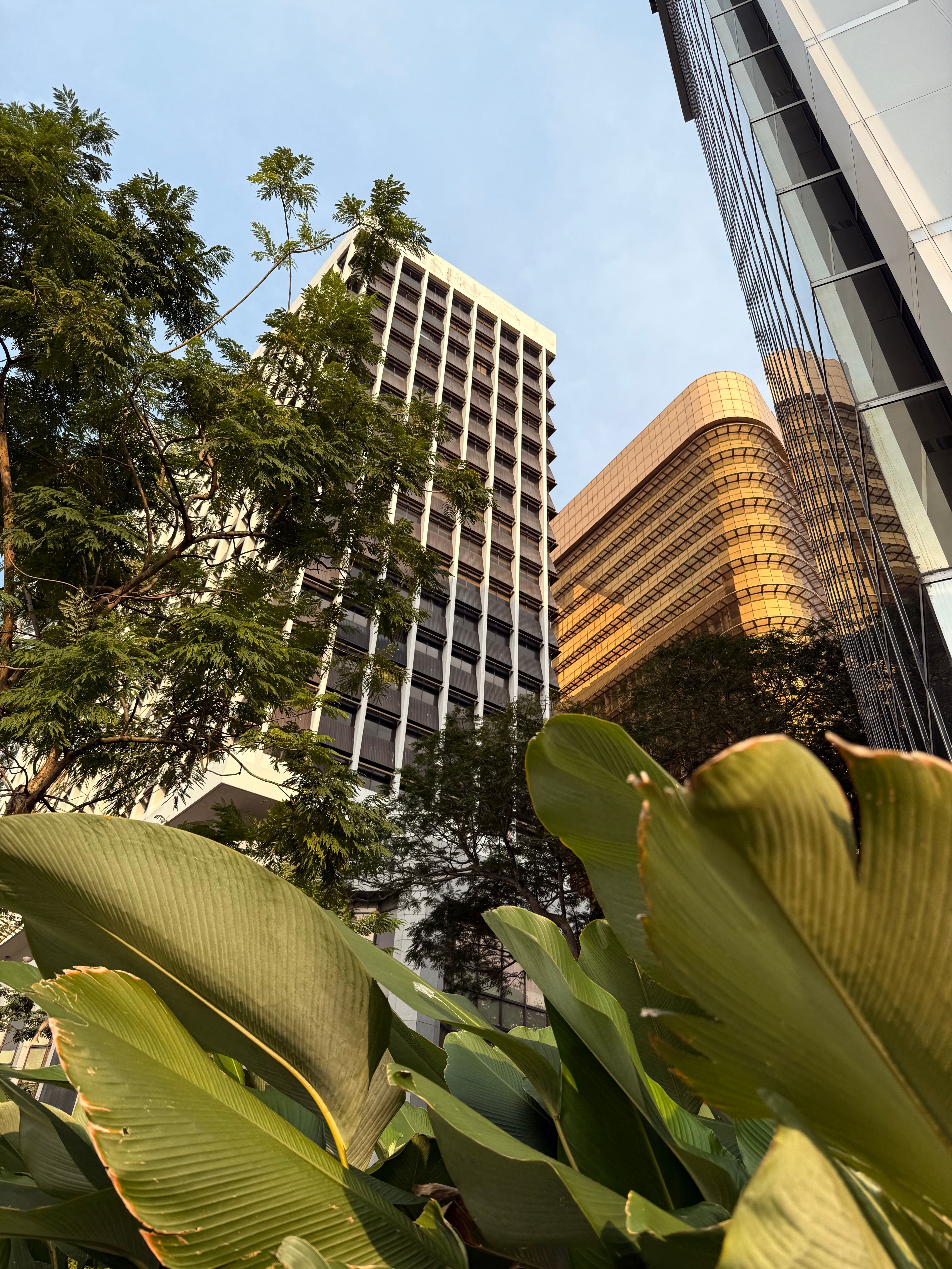 Modern skyscrapers rise above lush greenery in Kuala Lumpur, Malaysia, showcasing a blend of nature and architecture.
