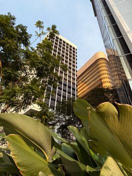 Modern skyscrapers rise above lush greenery in Kuala Lumpur, Malaysia, showcasing a blend of nature and architecture.