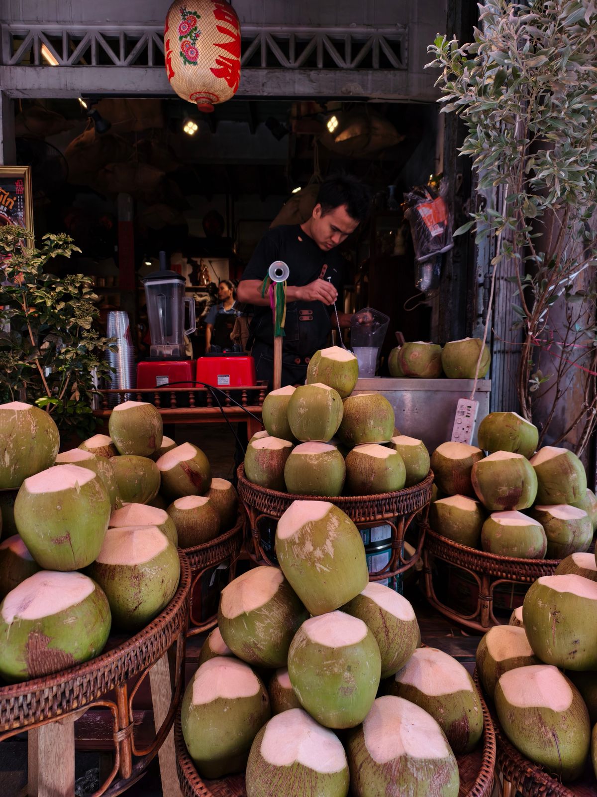 Gerai bekalan dengan barisan kelapa muda yang telah dikupas untuk pengendali minuman