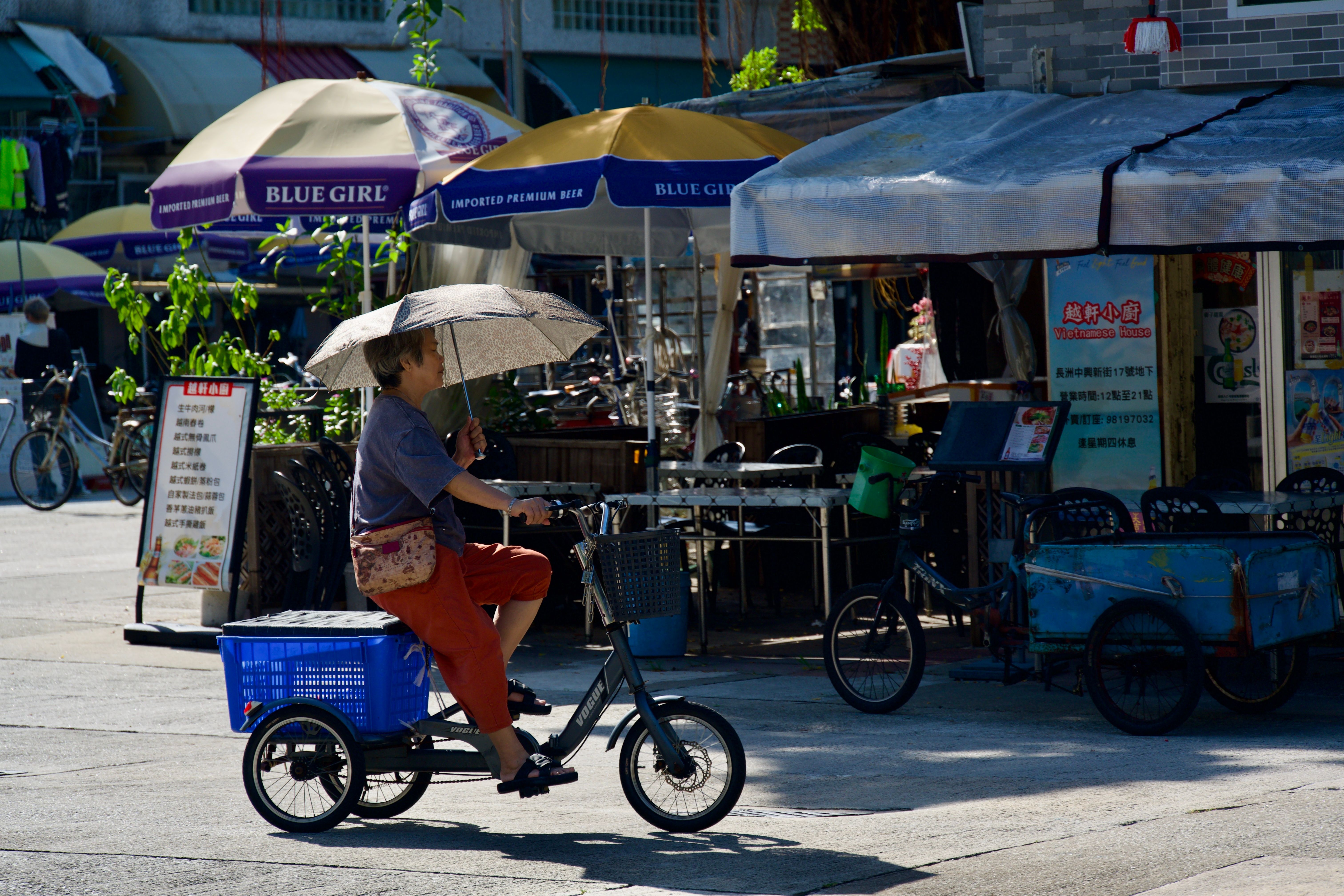 Find the Perfect Adult Tricycle for Sale Near Me!