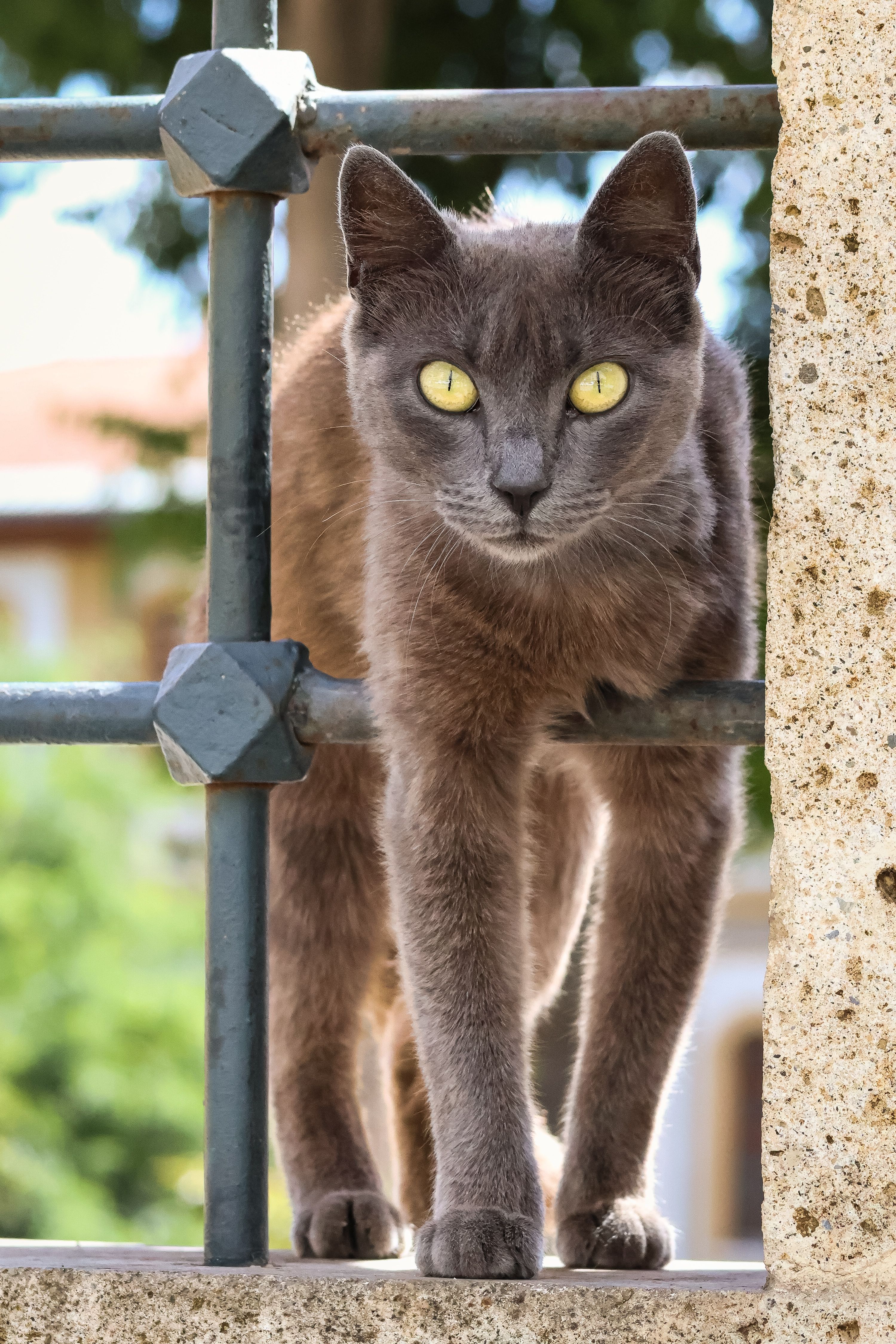Fotomural Fotolia