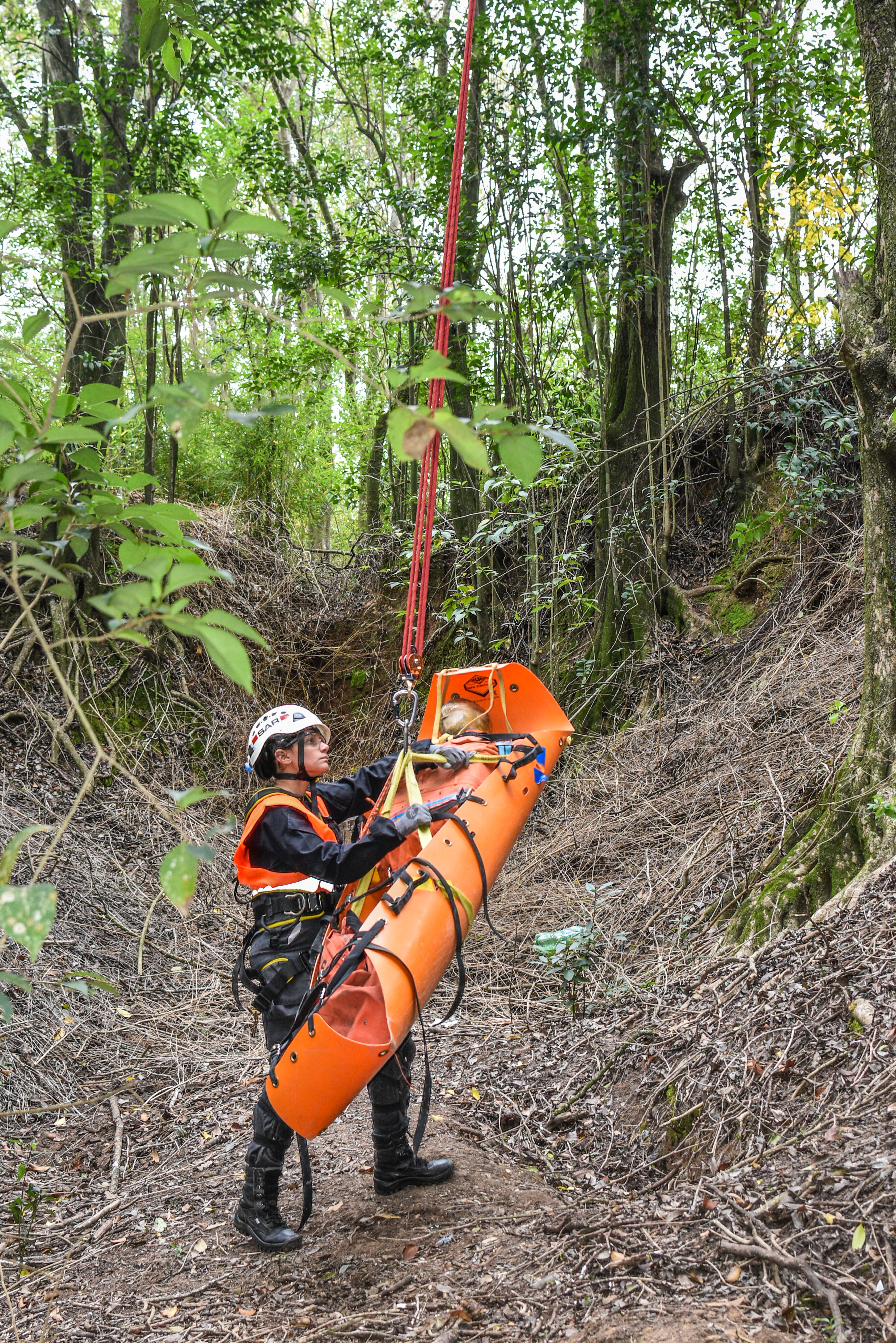 A rescue worker using a harness system to hoist a stretcher in a wooded area. Outdoor emergency scene.