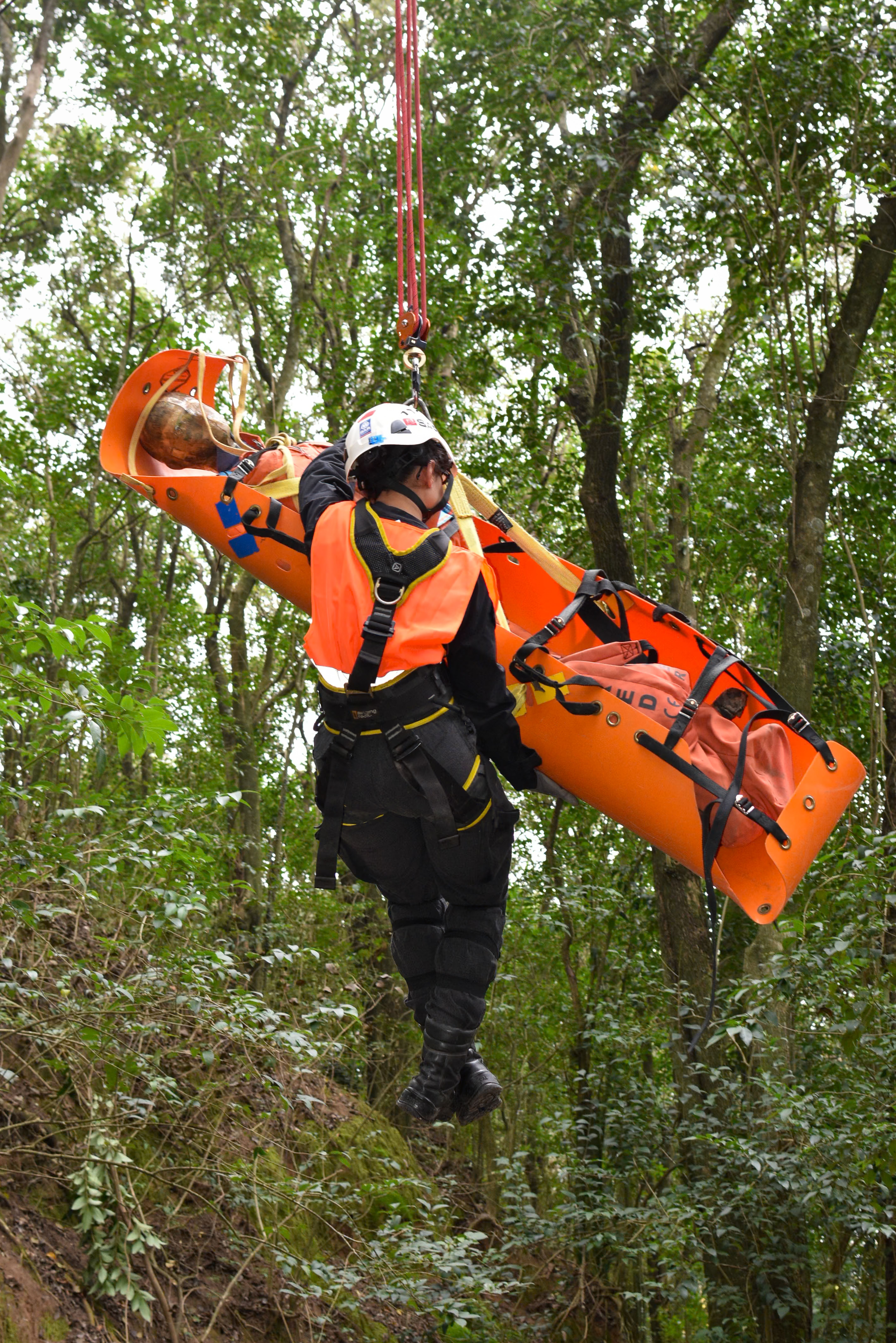 Emergency personnel conducting a rescue, hoisting stretcher in forest setting.