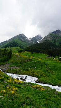 Image by alemdennbiri