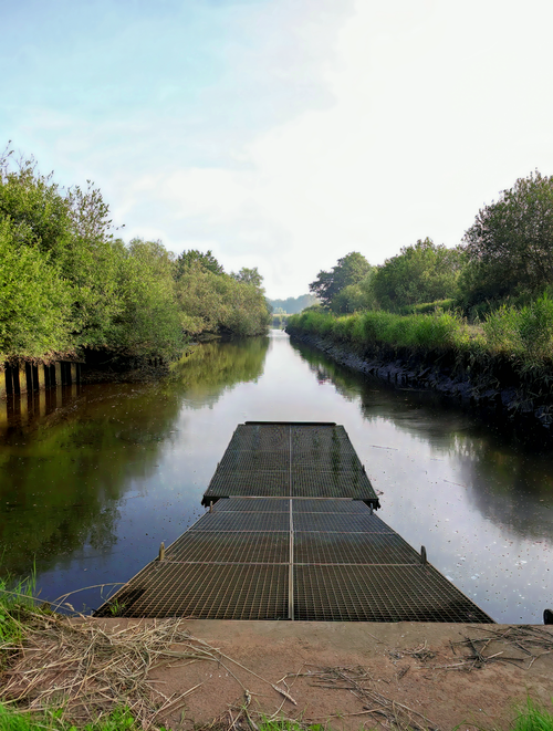 Free A serene view of a calm river with a metal platform, flanked by lush greenery and an overcast sky. Stock Photo