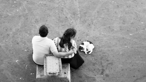 Free Monochrome aerial view of a couple sitting with a cat on the pavement. Stock Photo