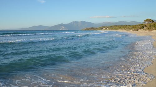 Free Discover the tranquil beauty of Corse's wild beaches, with clear waves and distant mountains. Stock Photo