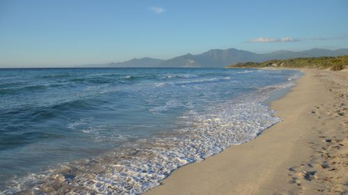 Free Discover the untouched beauty of a wild beach in Corsica, France, with clear skies and tranquil waves. Stock Photo
