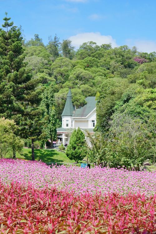 Free Picturesque country house surrounded by vibrant summer gardens in full bloom. Stock Photo