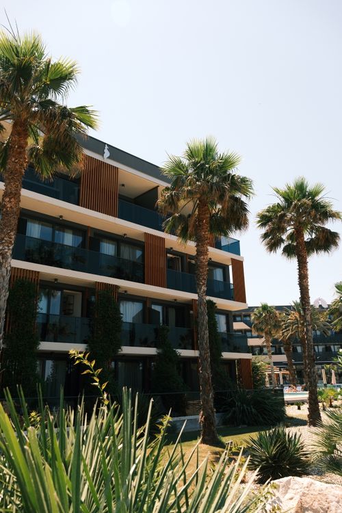 Free Contemporary apartment building surrounded by lush palm trees in a sunny environment. Stock Photo