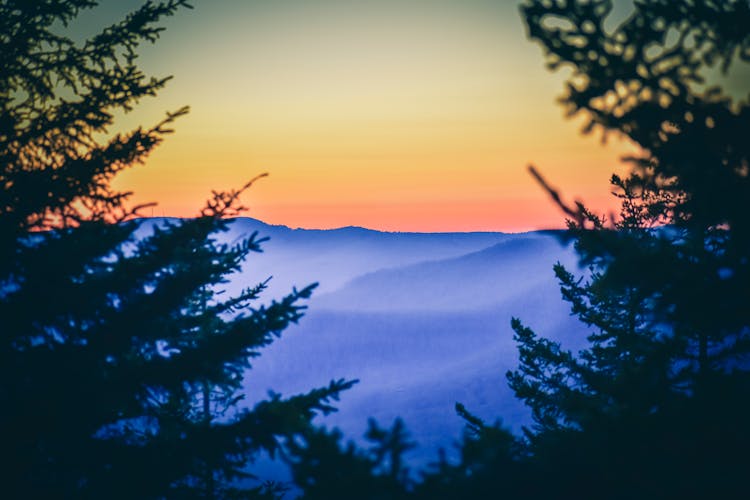 Sunset Sky Over Mountains And Pine Forest