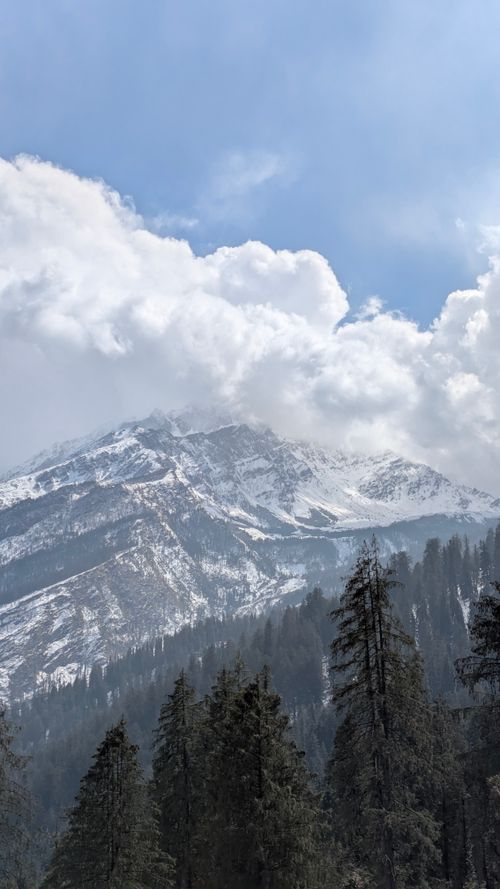 Free Snow-capped mountains with lush pine trees and dramatic clouds under a bright sky. Stock Photo