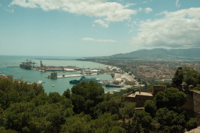 Harbour and coastline seen from a wooded hilltop lookout — Ramon Karolan on Pexels