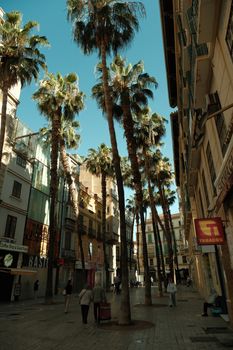 Pedestrians enjoy a sunny day on a palm-lined street in a vibrant Spanish city.