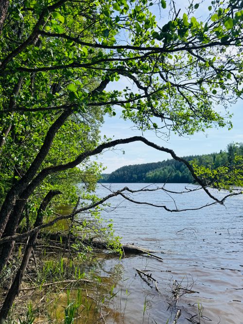 Free A tranquil riverside scene with lush greenery and calm waters in Finland. Stock Photo