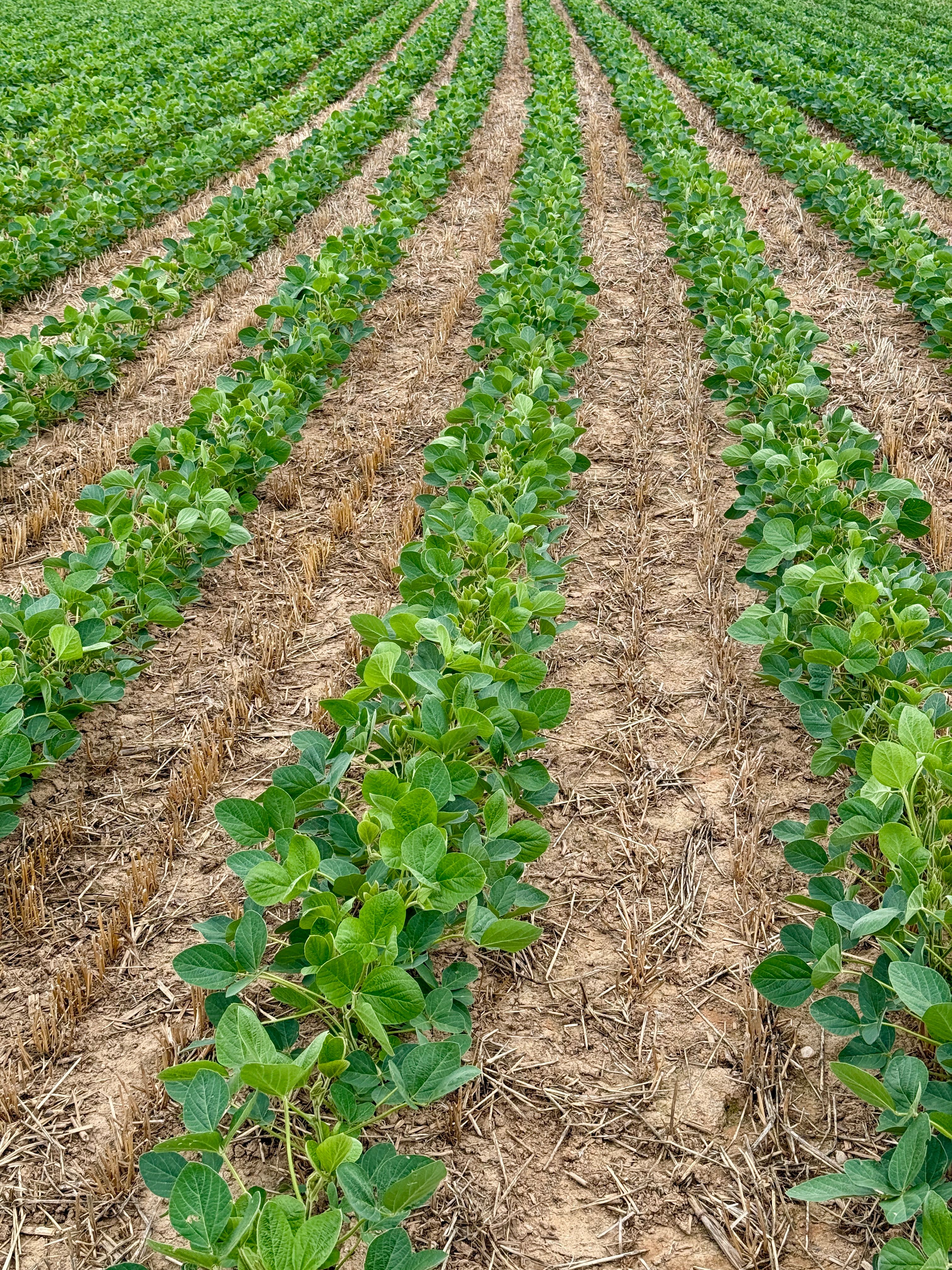 Biofarm insights image